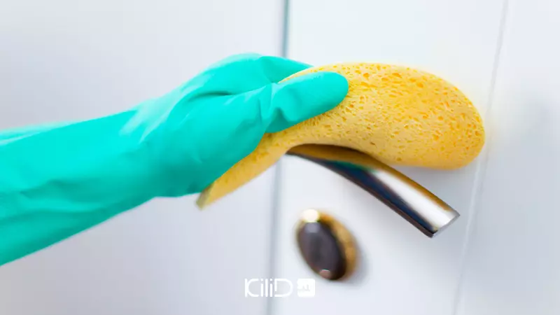 از بین بردن باکتریها و ویروس