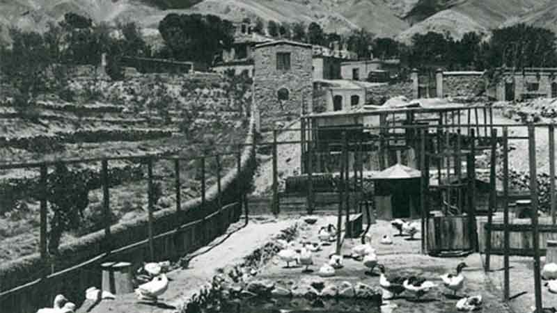 عکس قدیمی از محله سعادت آباد