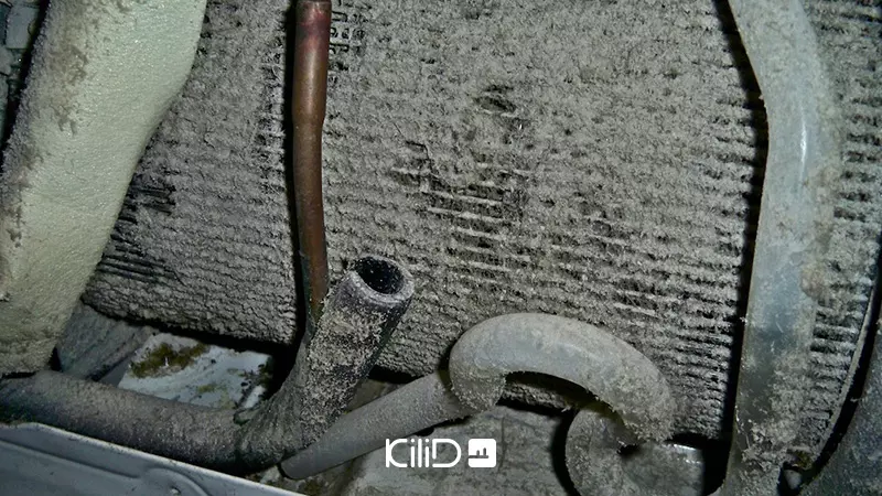 تمیز کردن یخچال