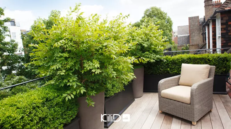 انواع روف گاردن