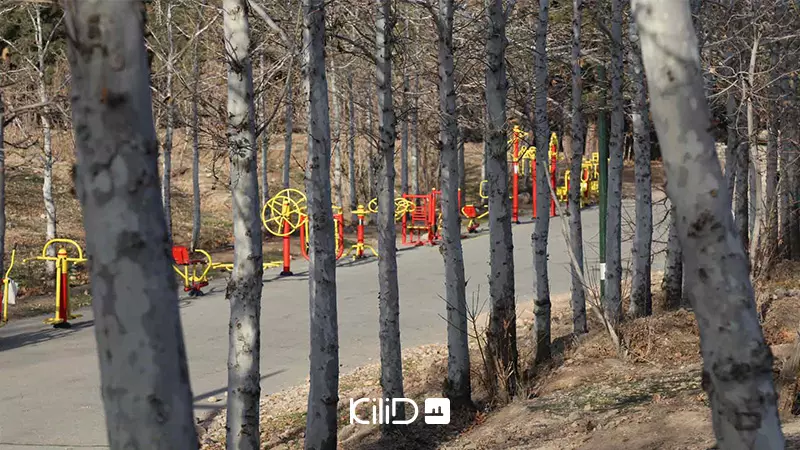 منطقه 13 تهران