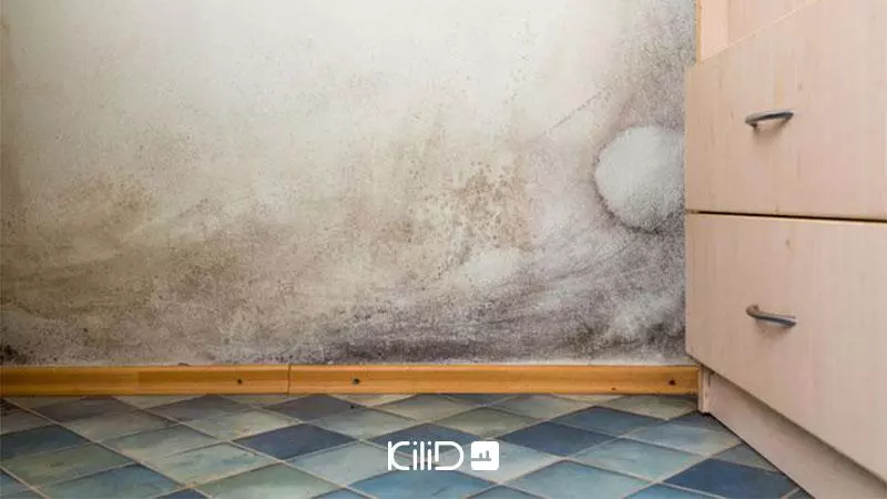 از بین بردن رطوبت و کپک در خانه