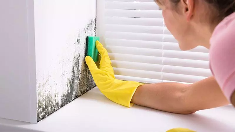 اسپری طبیعی ضد کپک