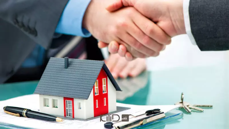 تنظیم قولنامه