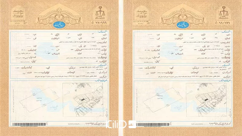 سند تک برگ