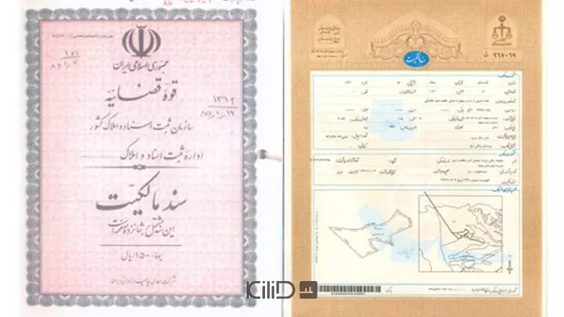 سند تک برگ