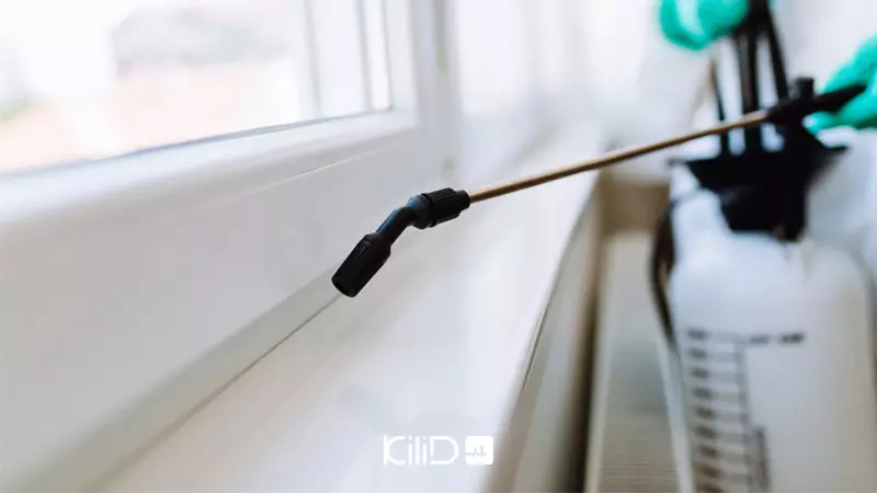 سمپاشی حشرات موذی ساختمان