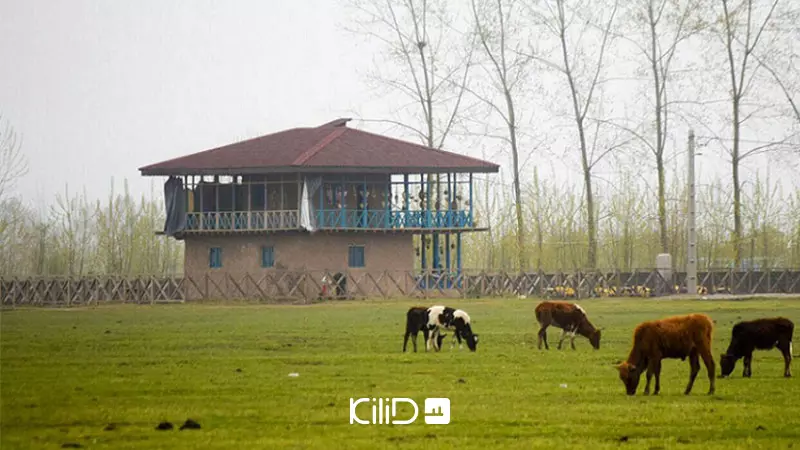 مقایسه گیلان و مازندران