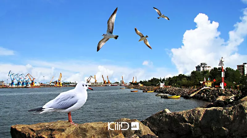 خرید ویلا در انزلی