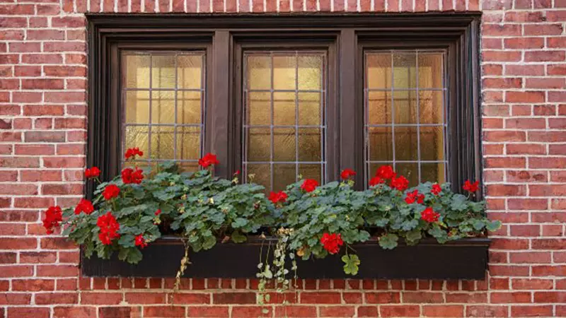 طبقه اول ساختمان