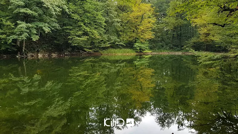 خرید ویلا در نوشهر