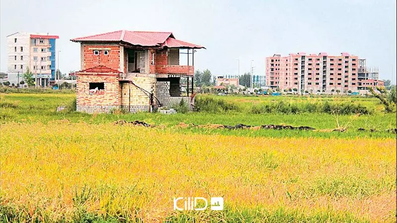ساخت در زمین زراعی