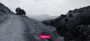 بوستان جنگلی سوهانک در محله سوهانک تهران