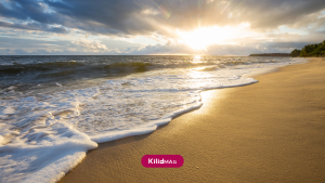 اجاره ویلا ساحلی