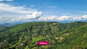 پیدا کردن ویلای مطمئن در شمال با سامانه کیلید