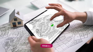 عرصه و اعیان چیست؟