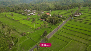 کاربری زمین در شمال