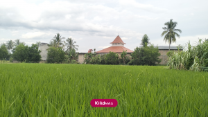 تغییر کاربری زمین